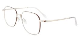 Pure Titanium Prescription Glasses Mckinney Silver