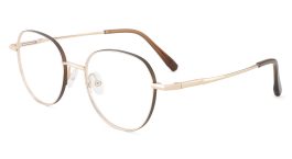 Pure Titanium Prescription Glasses Eliot Gold